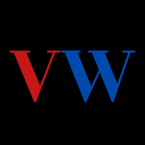 VidWatch logo